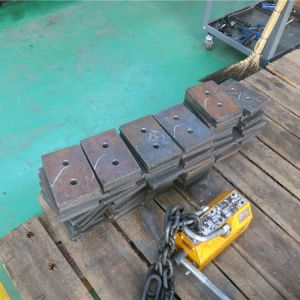 2018111102 ���������^