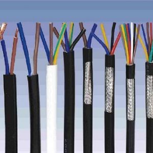 ������|����|���N��е�һ�N��ʲô�ǿ�����|��